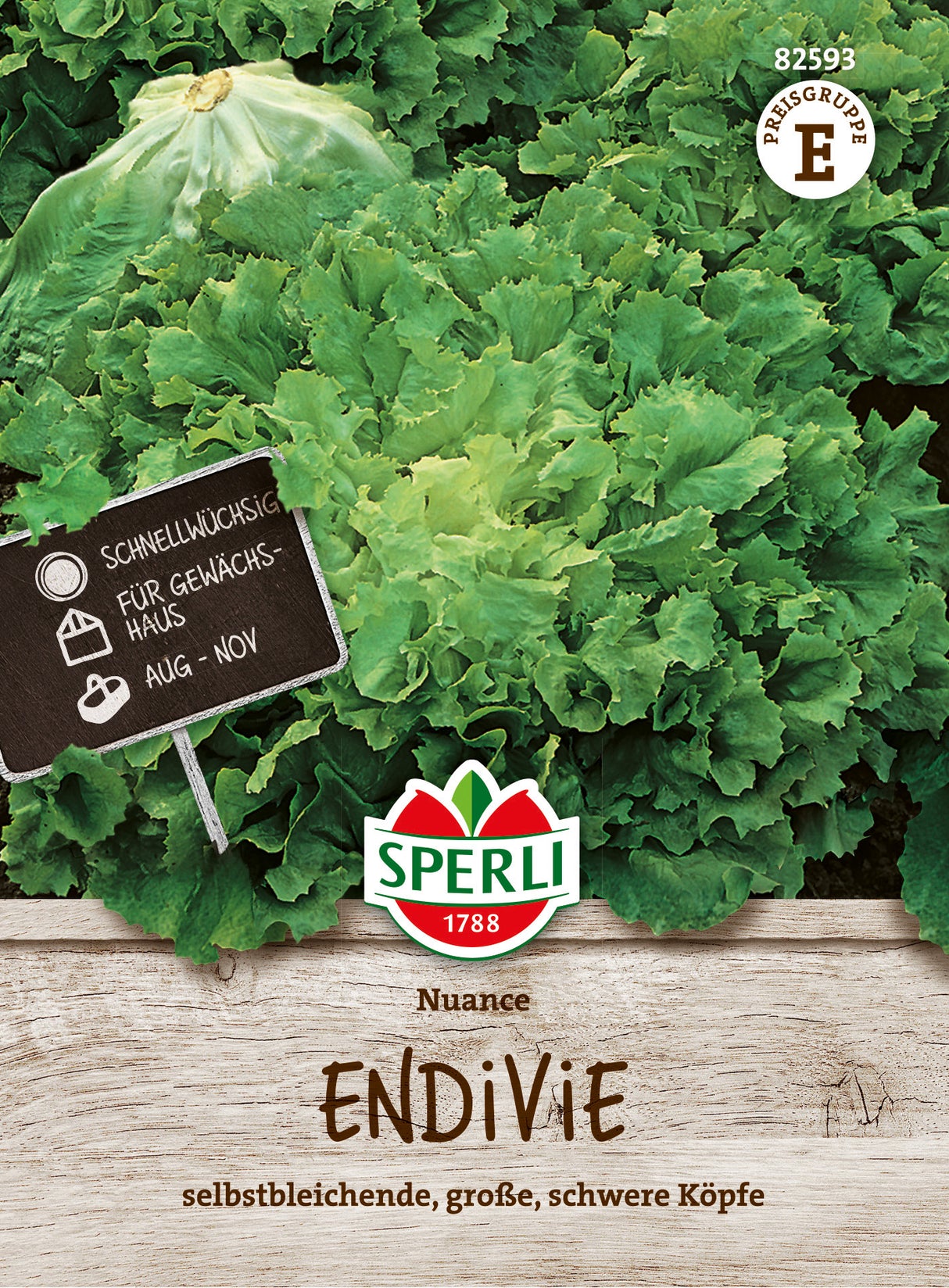 SPERLI Endiviensalat Nuance