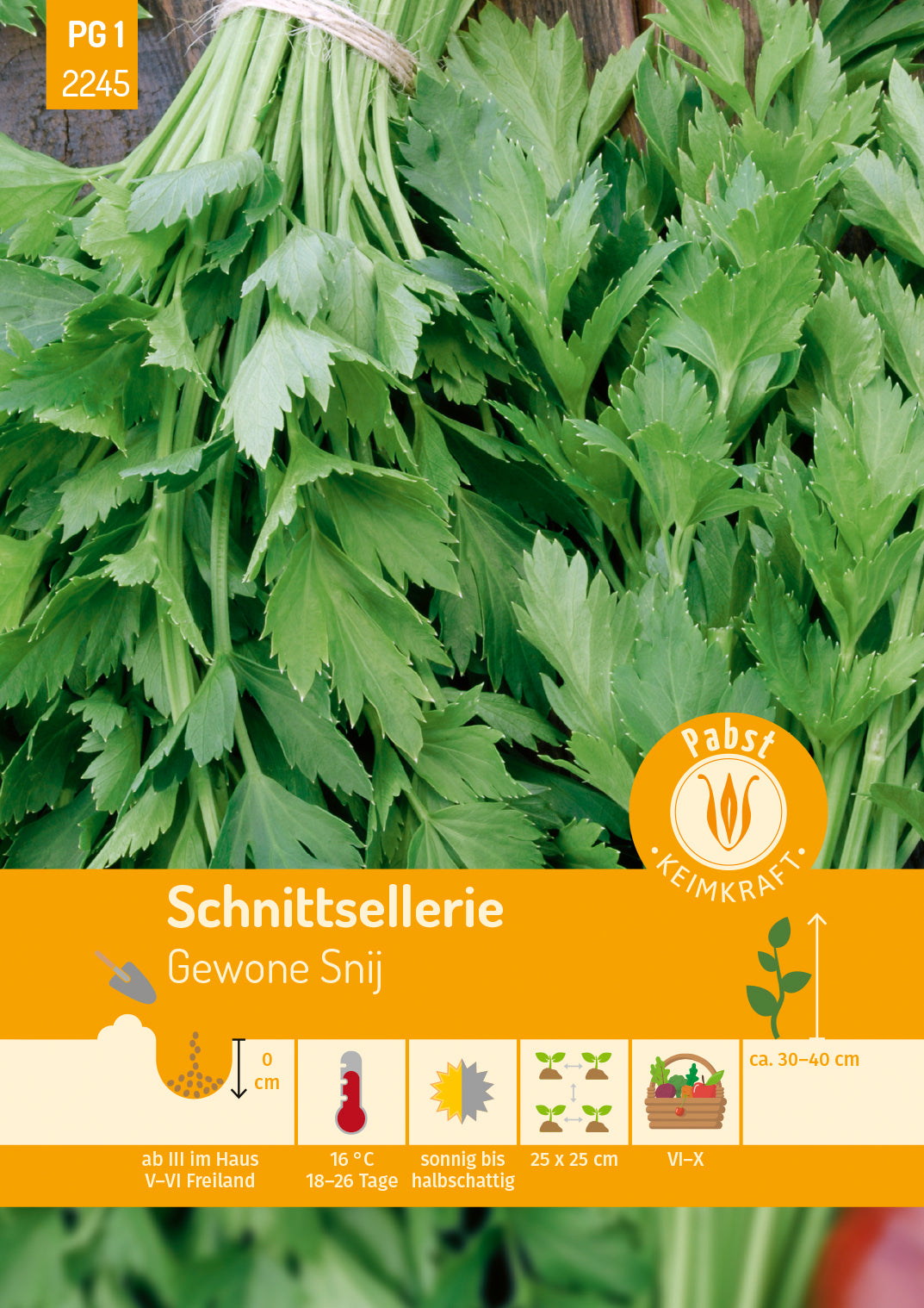 Pabst Keimkraft Schnittsellerie Gewone Snij