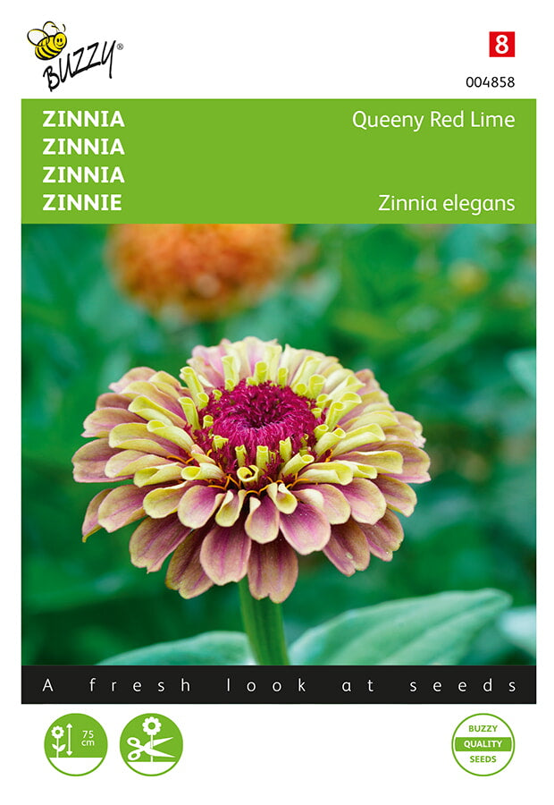 Buzzy Seeds Zinnien Queeny Lime Red