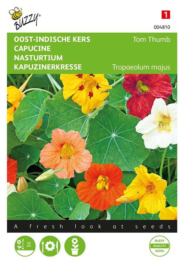 Buzzy Seeds Kapuzinerkresse Nanum Tom Thumb niedrige Mischung