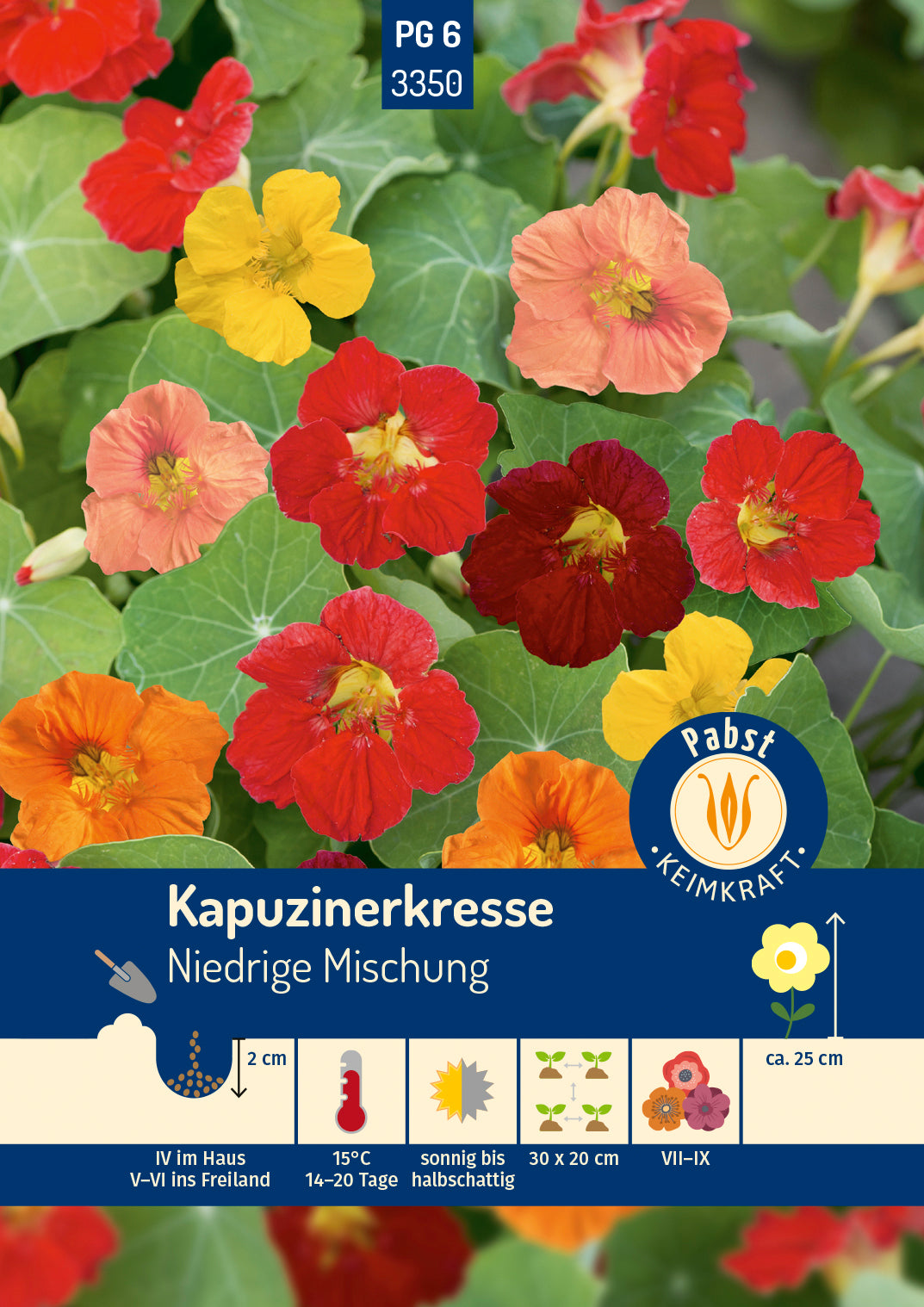 Pabst Keimkraft Kapuzinerkresse Niedrige Mischung