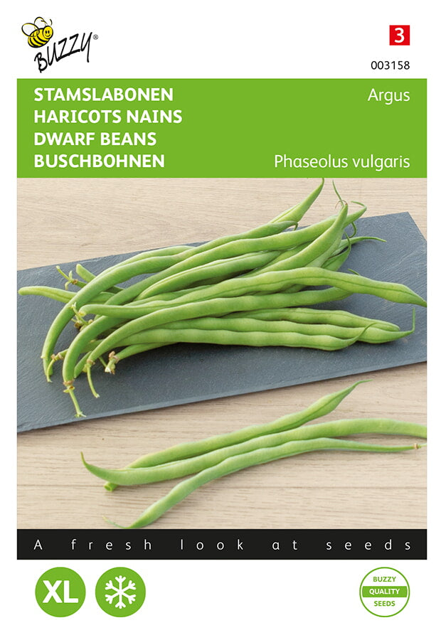 Buzzy Seeds Buschbohnen Argus