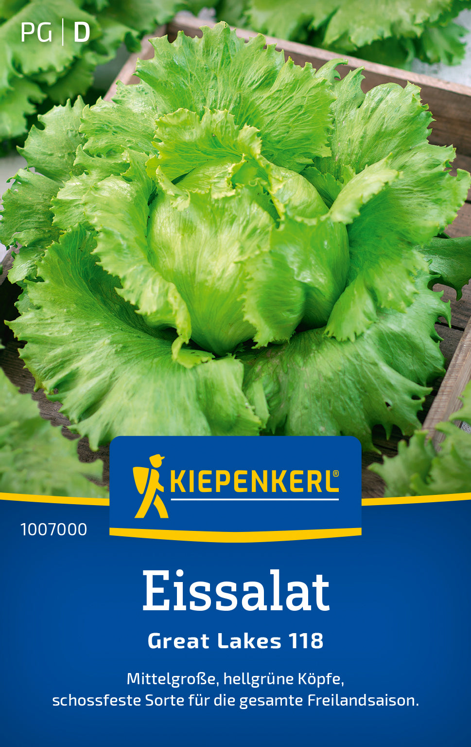 Kiepenkerl Eisbergsalat Great Lakes 118