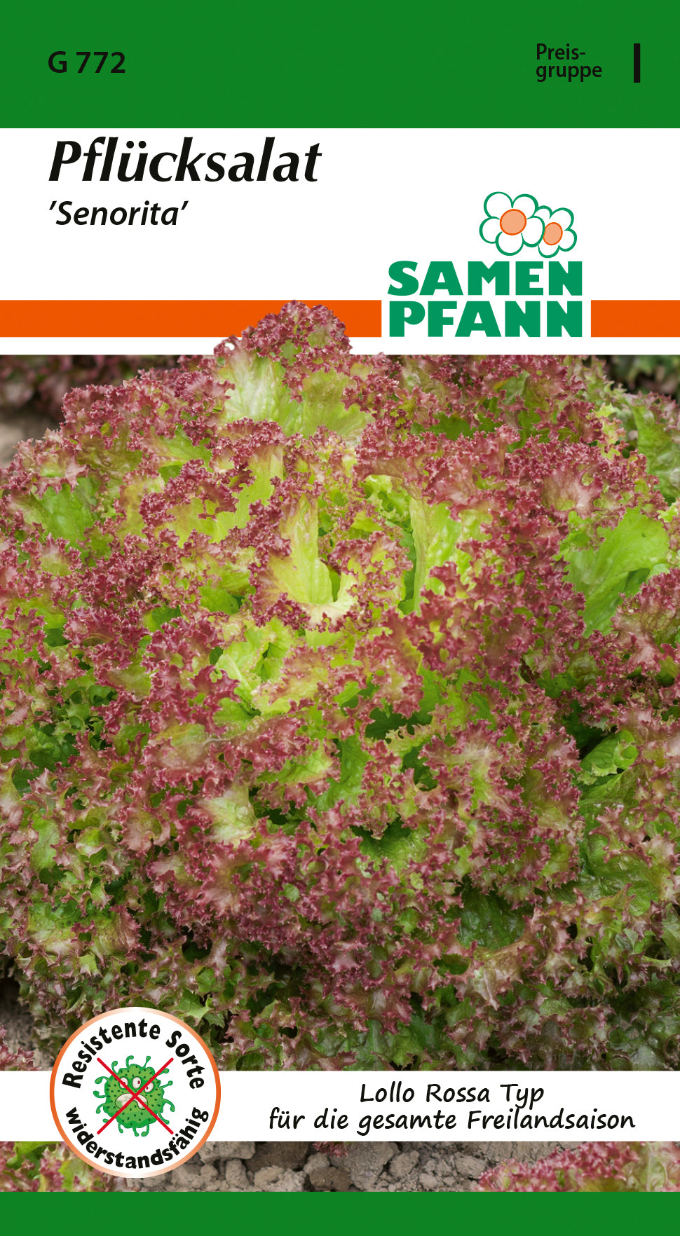 Samen Pfann Pflücksalat Senorita