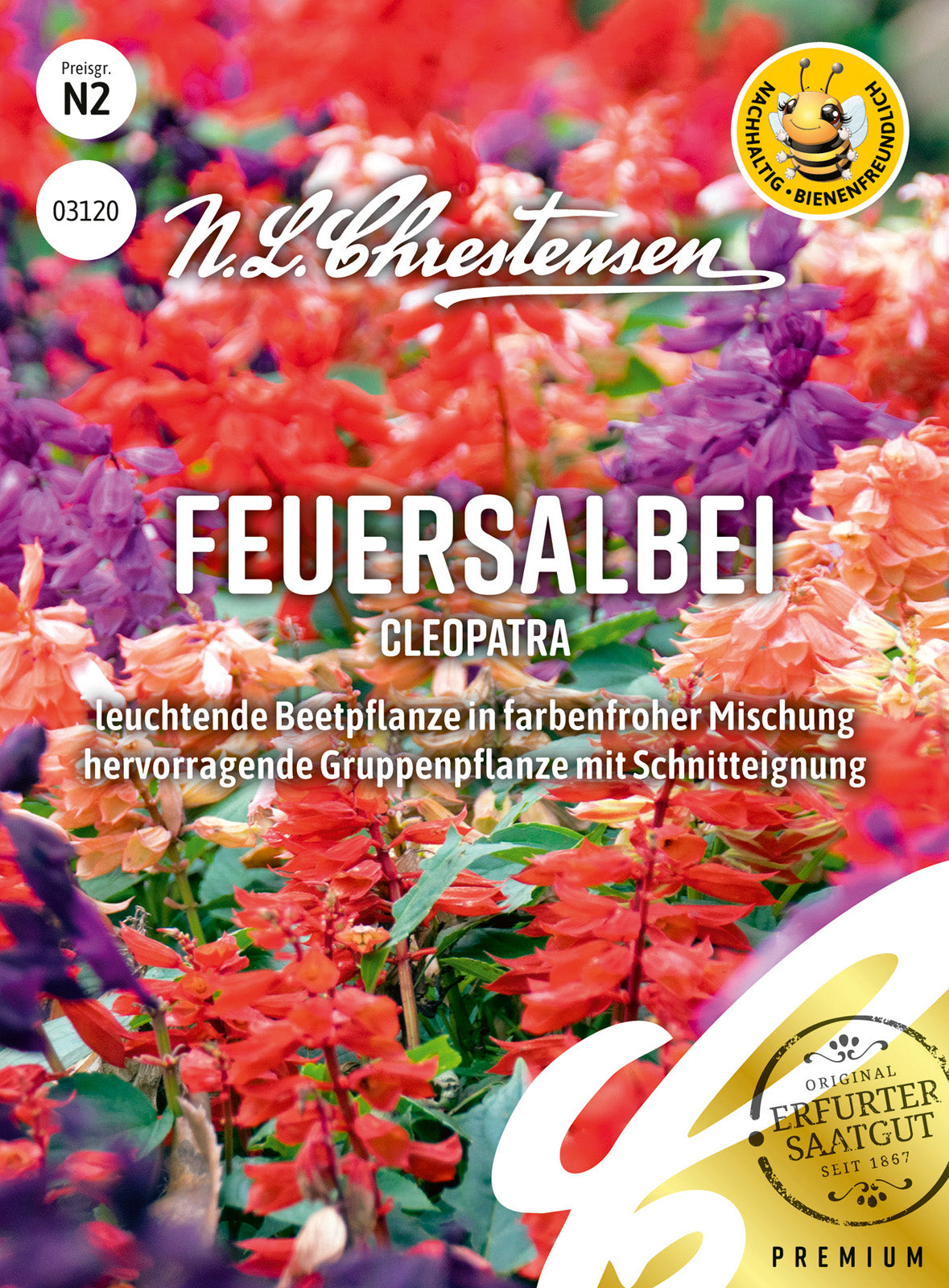 N.L. Chrestensen Feuersalbei Cleopatra