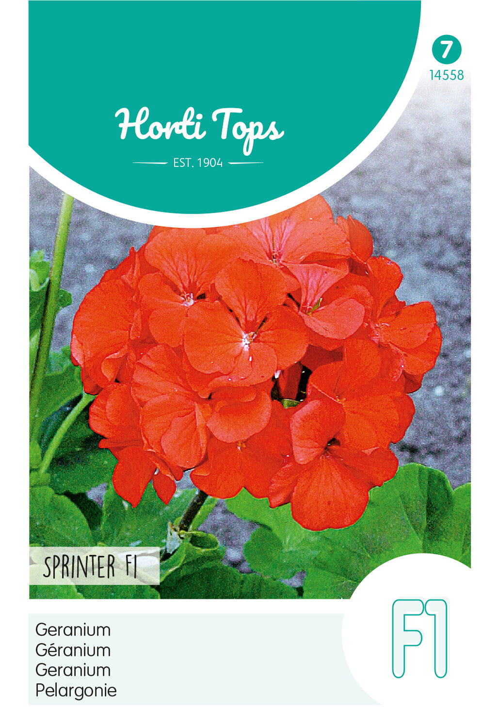 Horti Tops Pelargonie Sprinter Hellrot