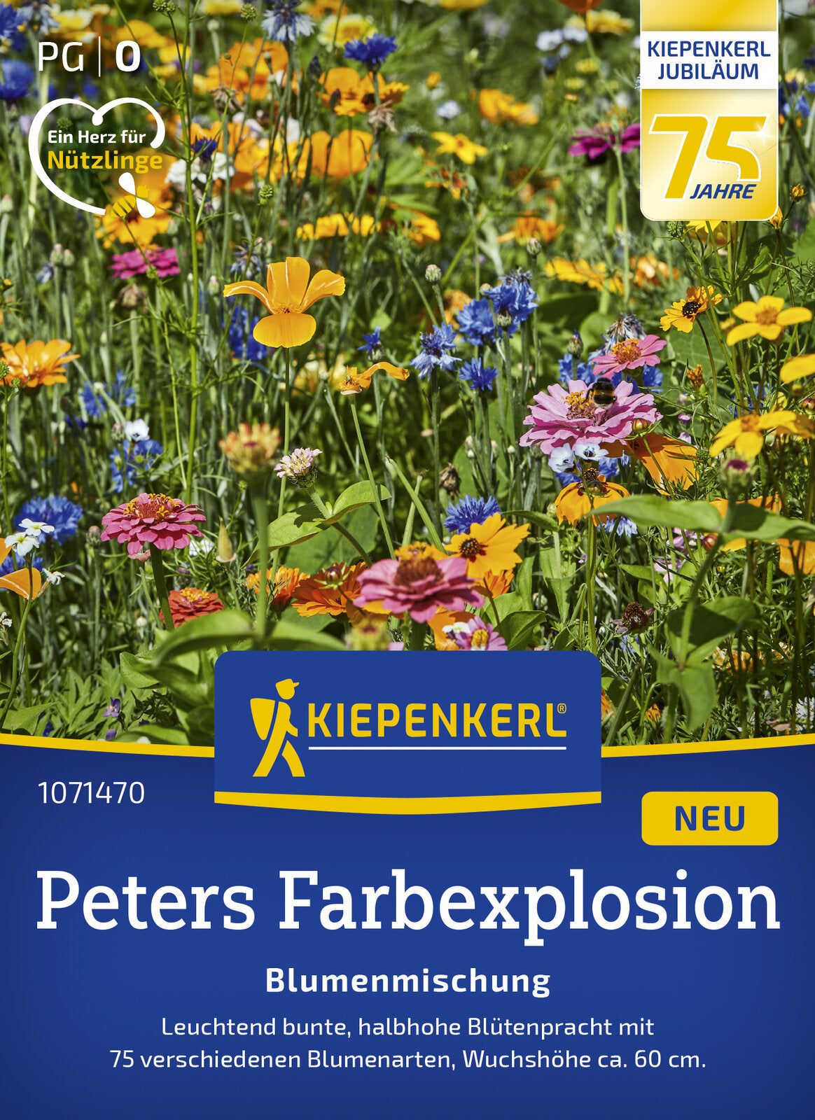 Kiepenkerl Blumenmischung Peters Farbexplosion