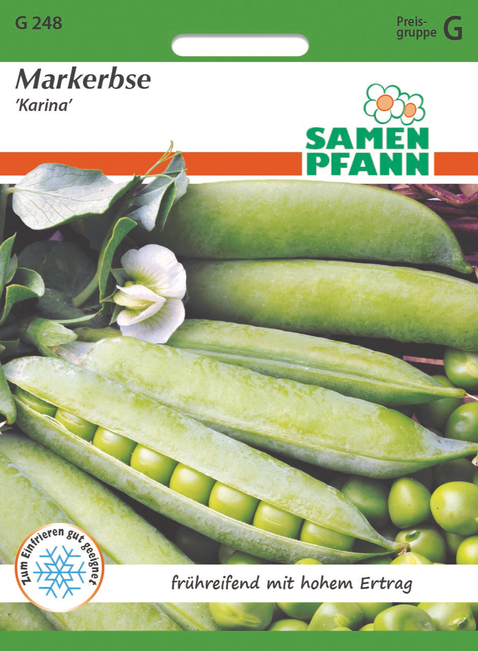 Samen Pfann Markerbse Karina