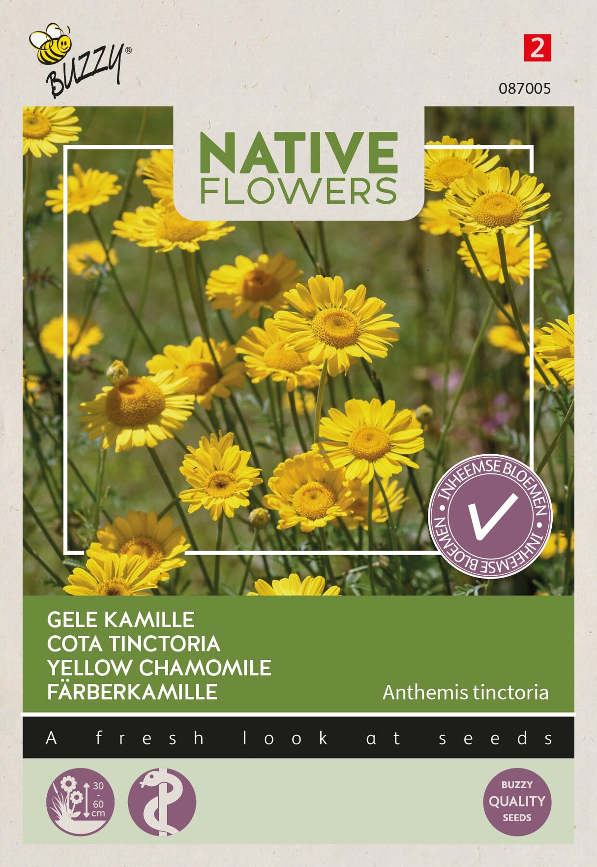 Buzzy Seeds Hundkammille Färberkamille
