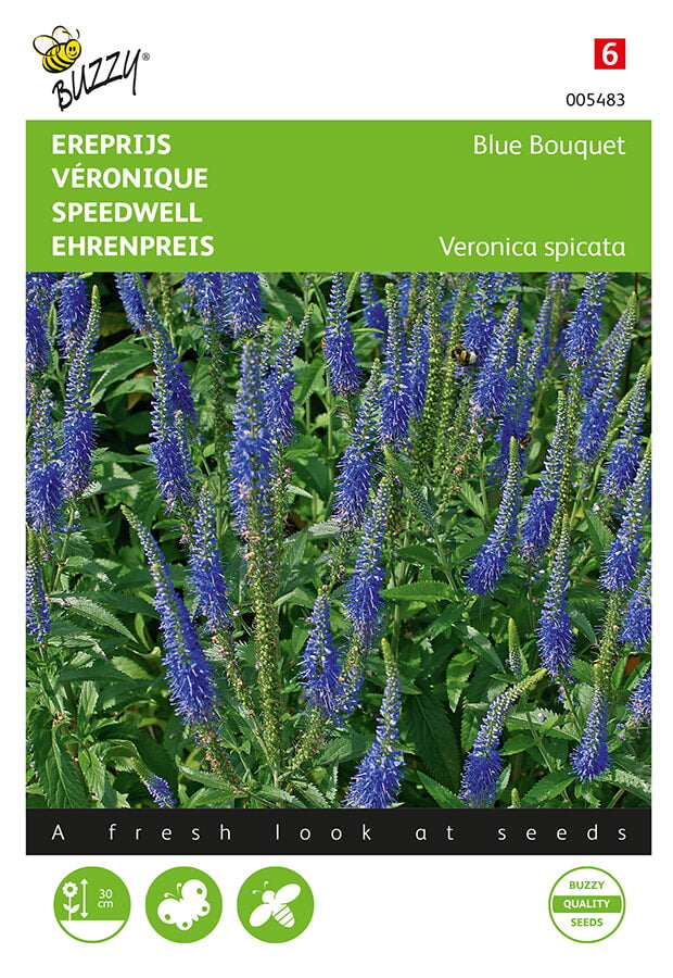Buzzy Seeds Ehrenpreis Blue Bouquet