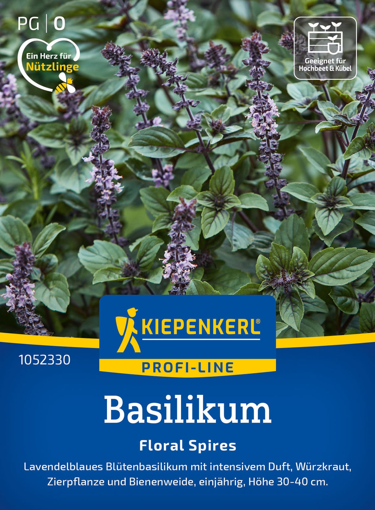 Kiepenkerl Basilikum Floral Spires Lavendelblau