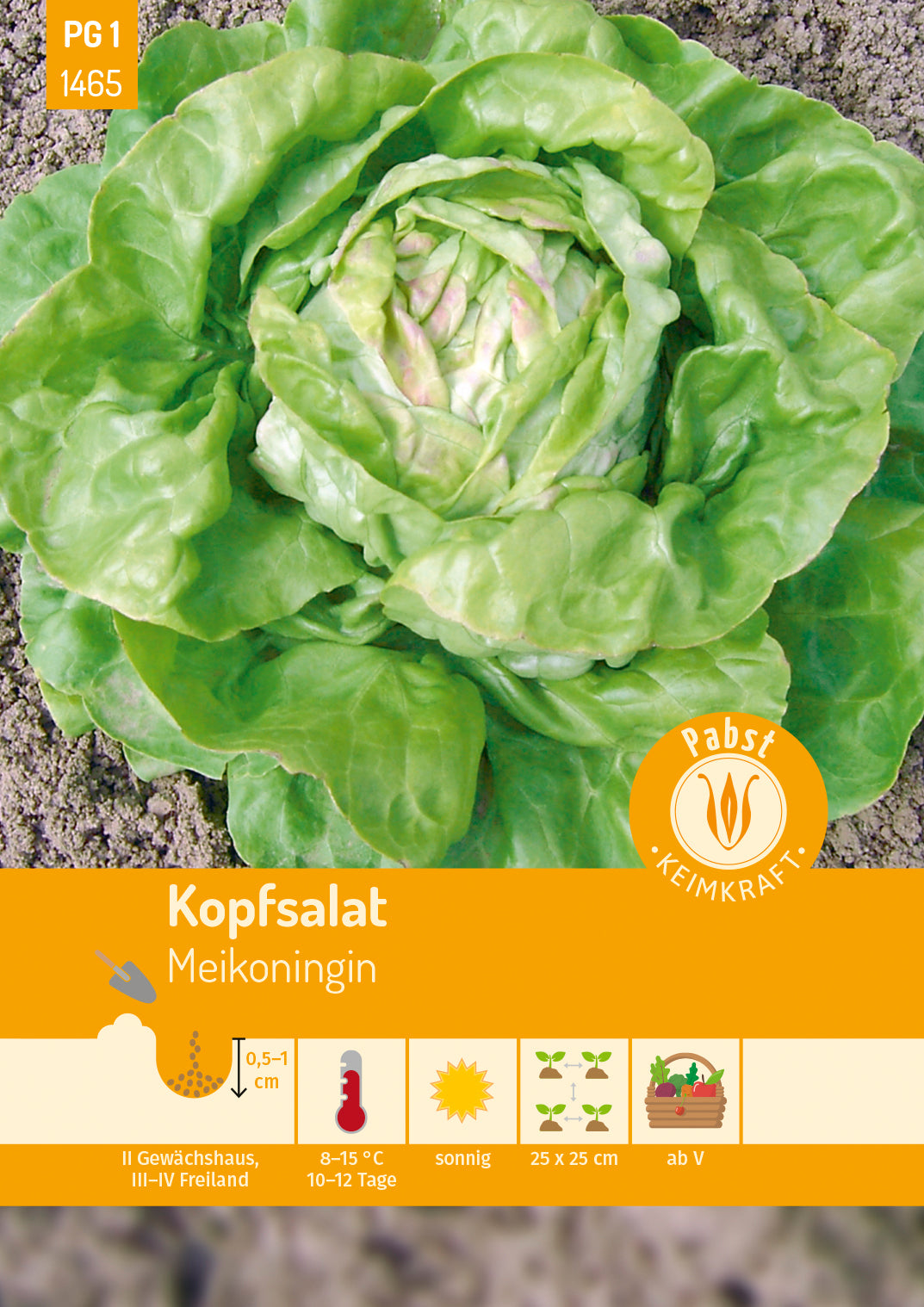 Pabst Keimkraft Kopfsalat Maikönig