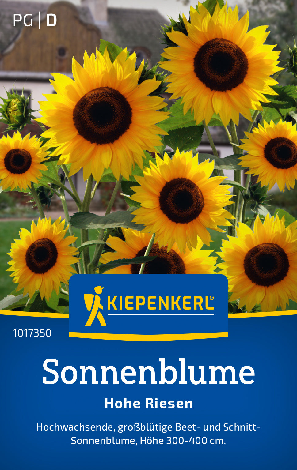 Kiepenkerl Sonnenblumen Hohe Riesen