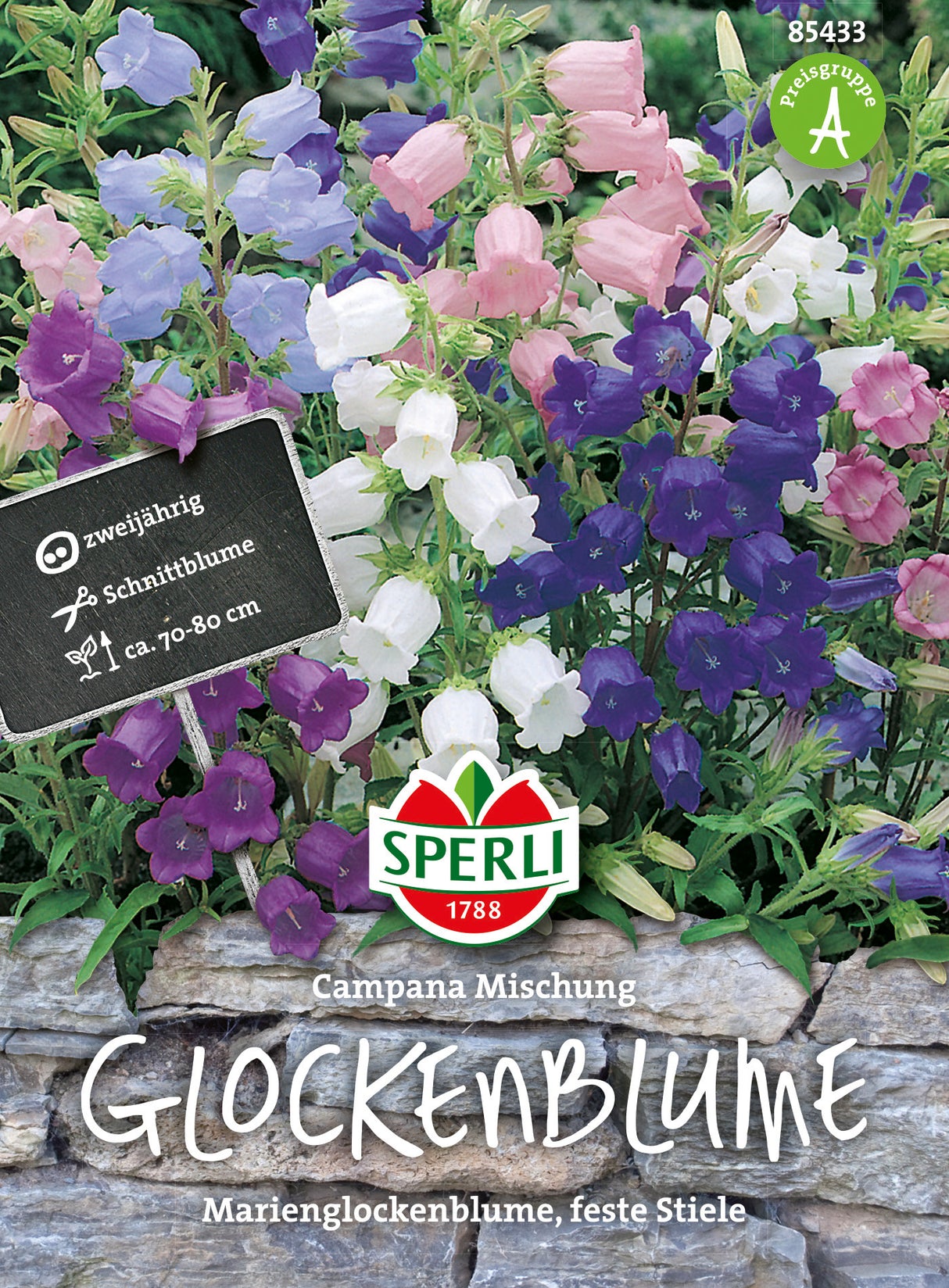 SPERLI Glockenblume Campana Mischung