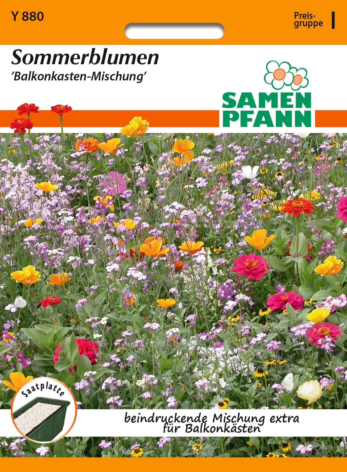 Samen Pfann Sommerblumen Balkonkasten-Mischung