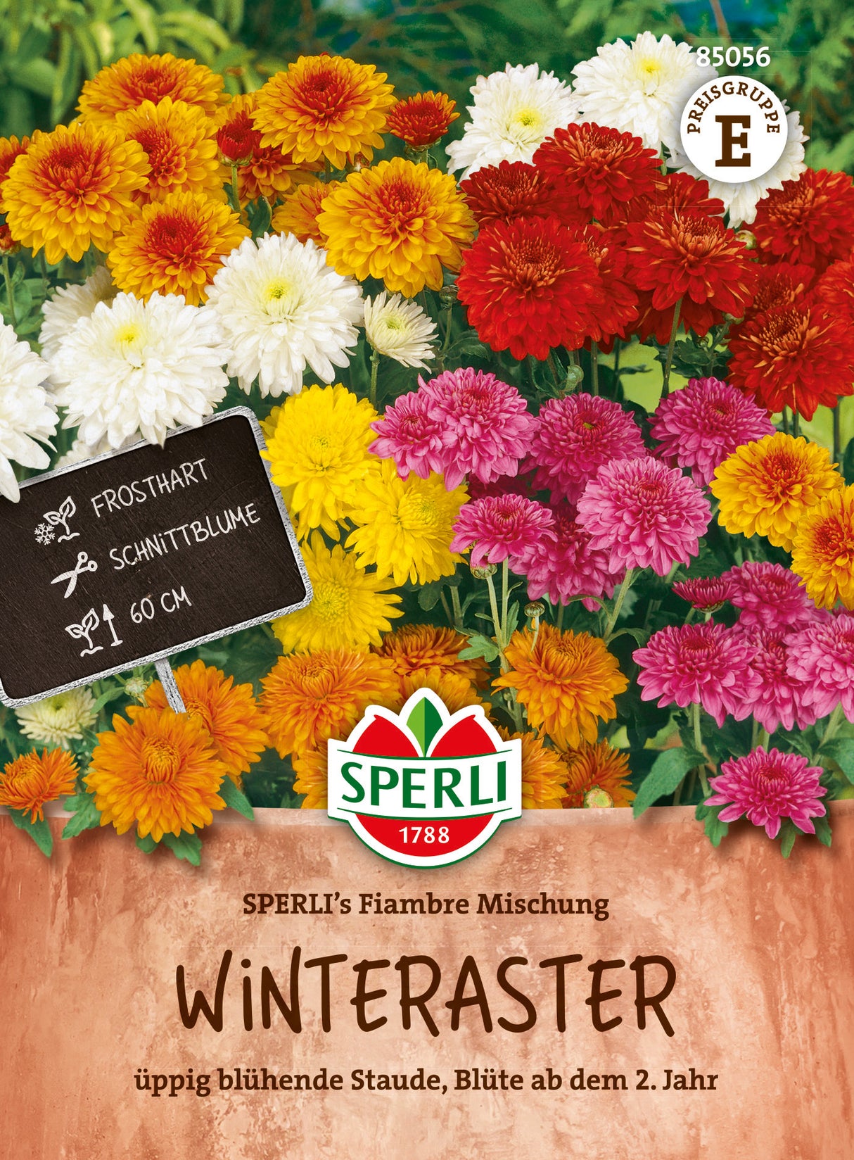 SPERLI Herbstaster SPERLI's Fiambre Mischung