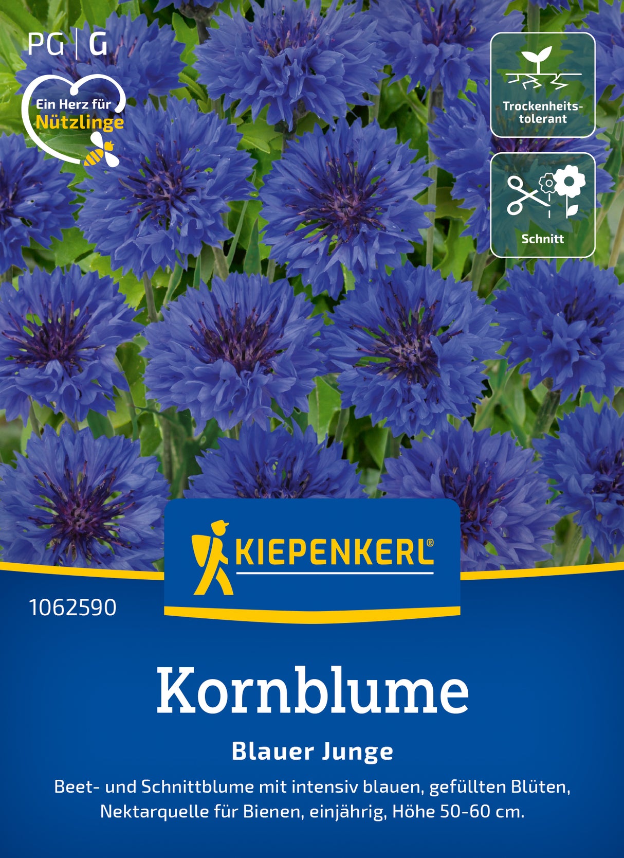 Kiepenkerl Kornblumen Blauer Junge