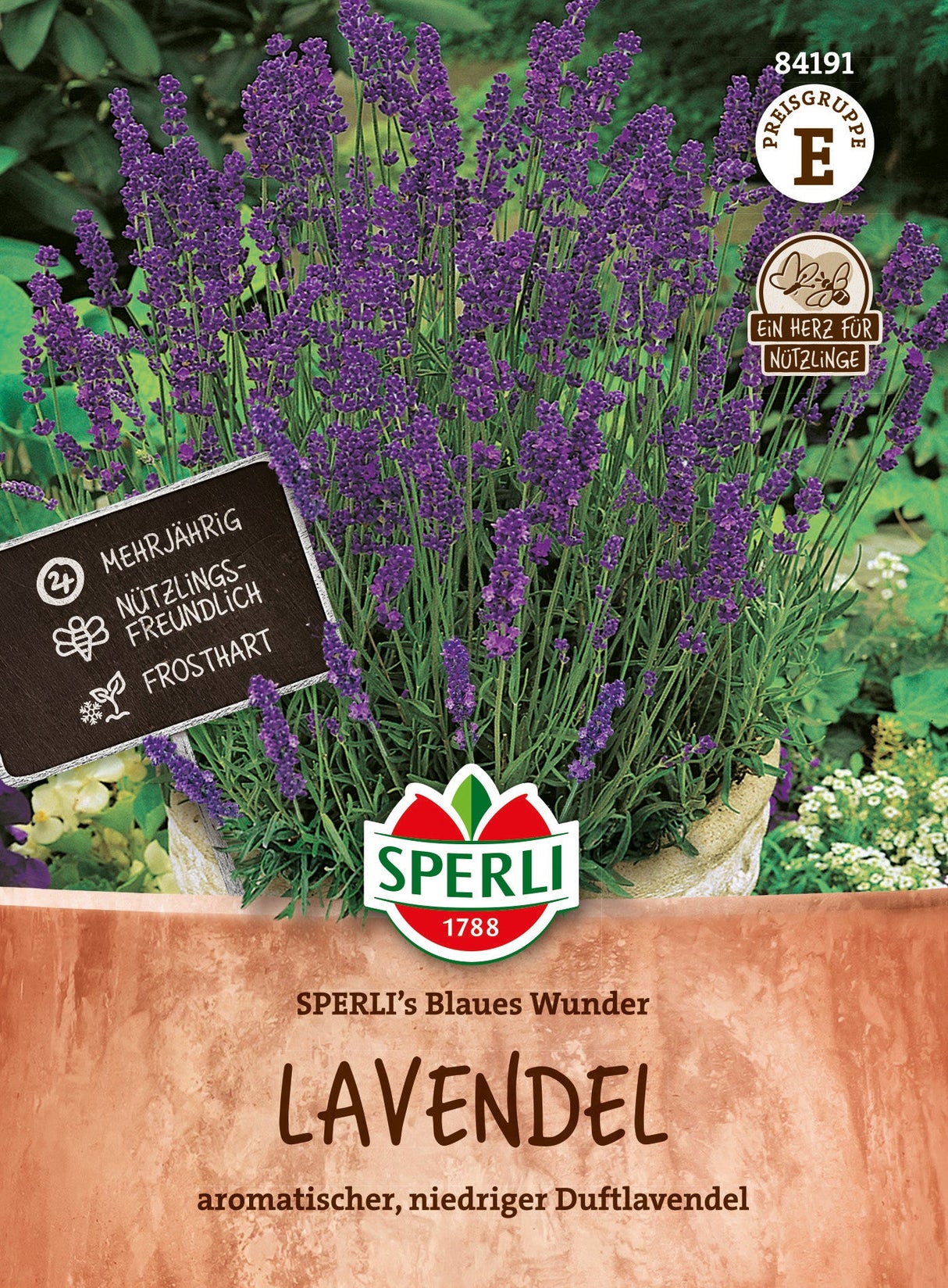 SPERLI Lavendel SPERLI's Blaues Wunder