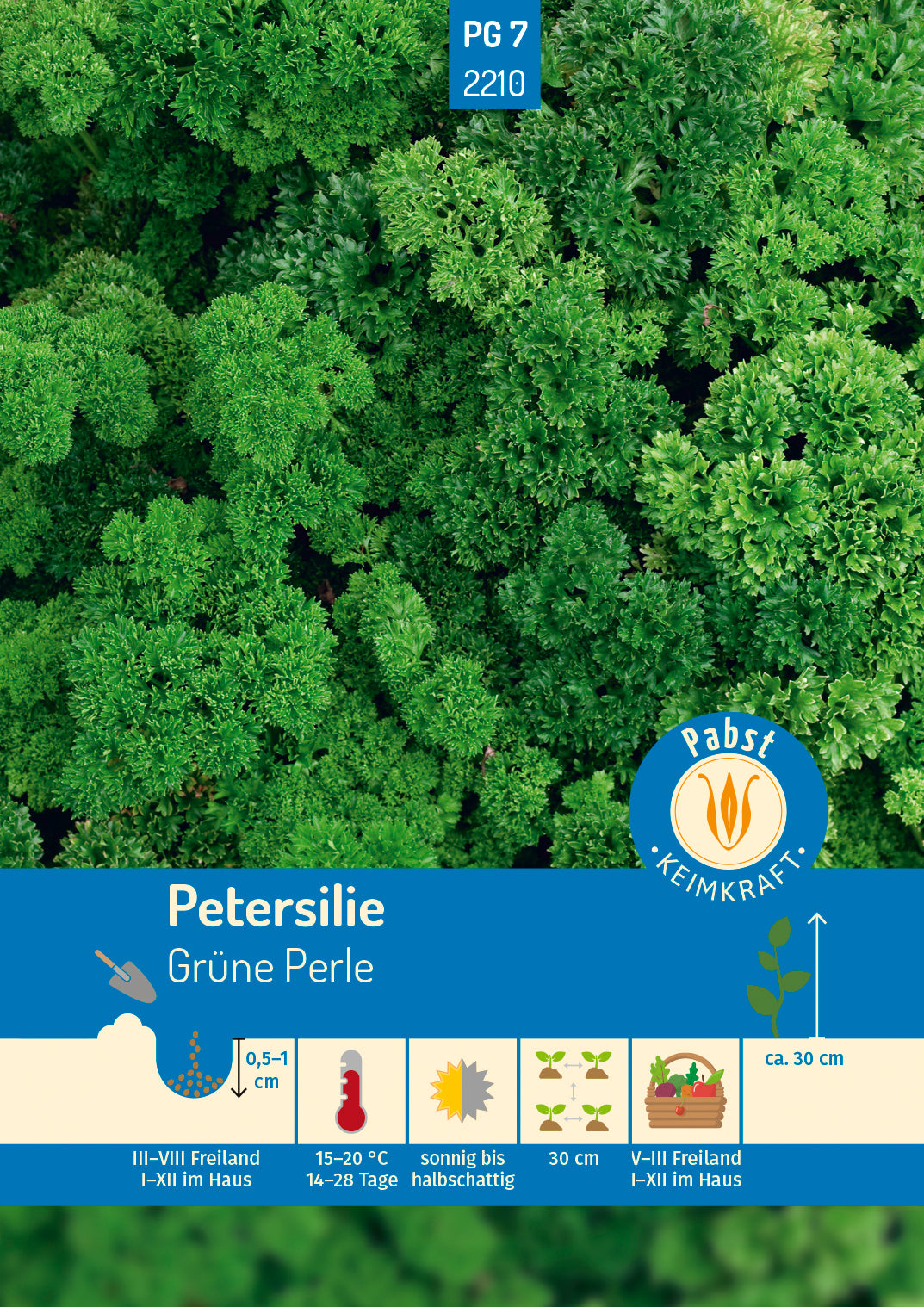 Pabst Keimkraft Petersilien Grüne Perle