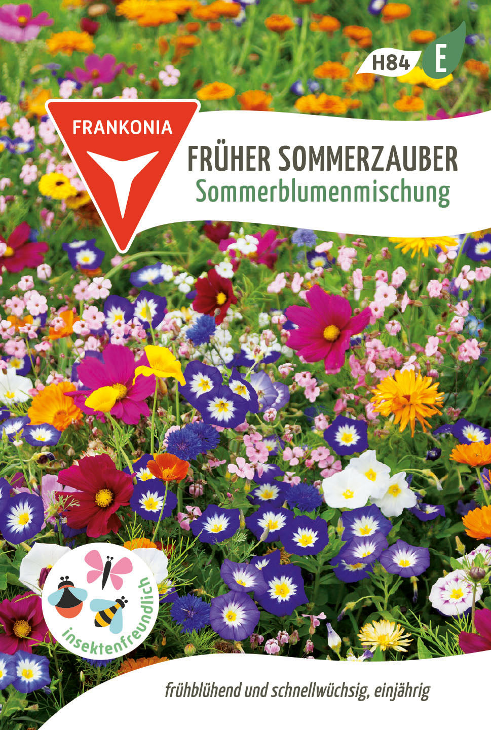 Frankonia Samen Blumensamen-Mischung Früher Sommerzauber