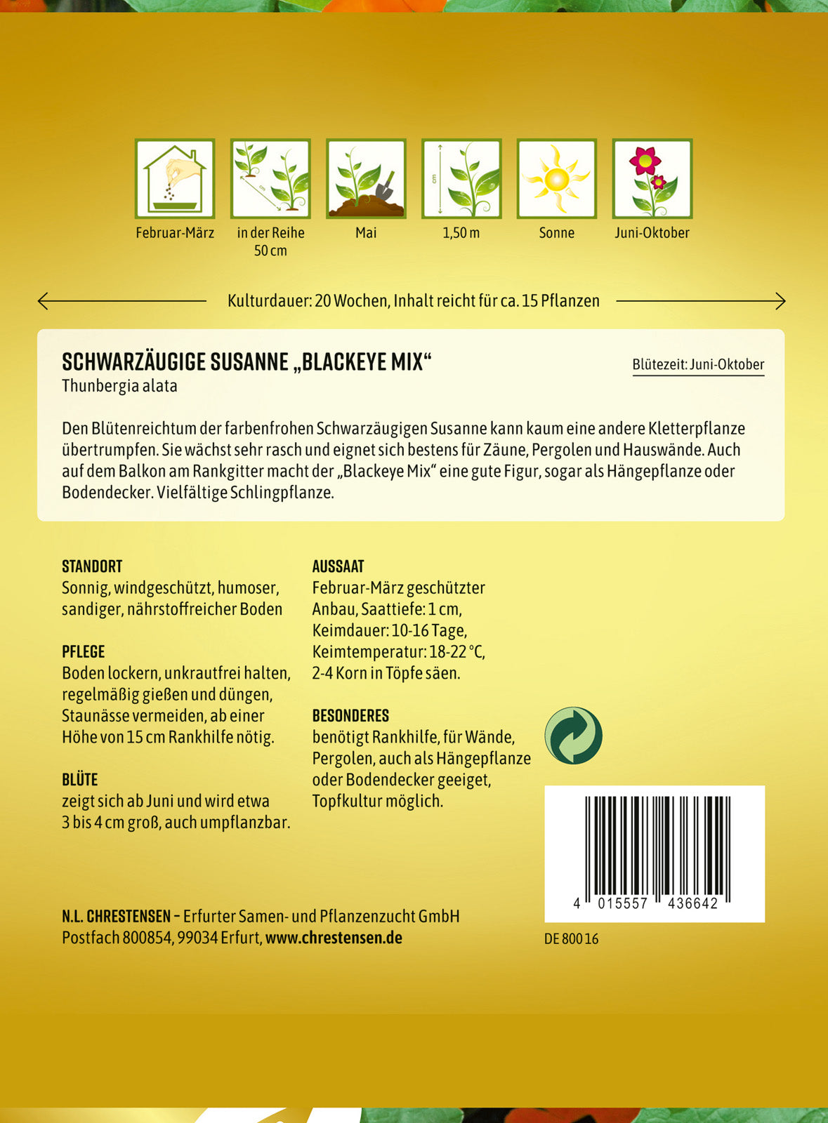 N.L. Chrestensen Schwarzäugige Susanne Blackeye Mix