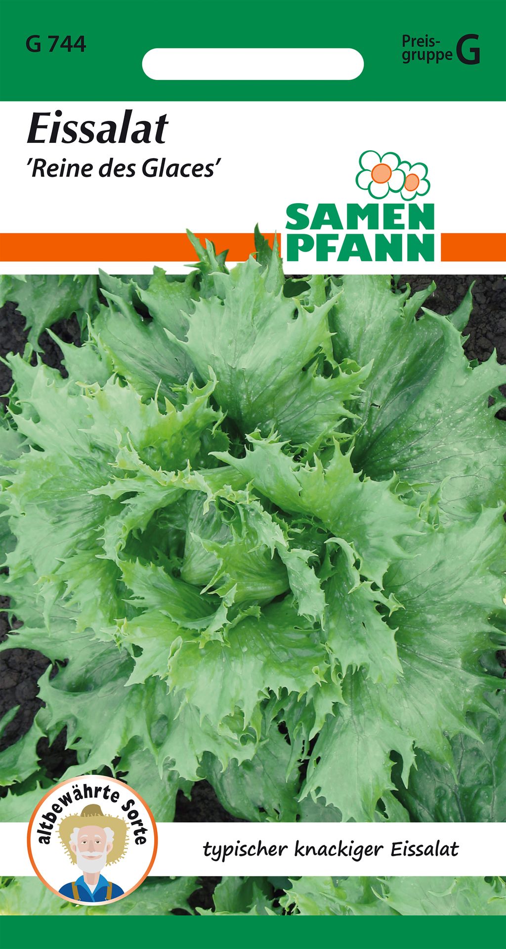 Samen Pfann Eissalat Reine des Glaces