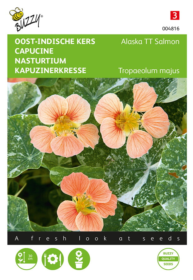 Buzzy Seeds Kapuzinerkresse Alaska Salmon