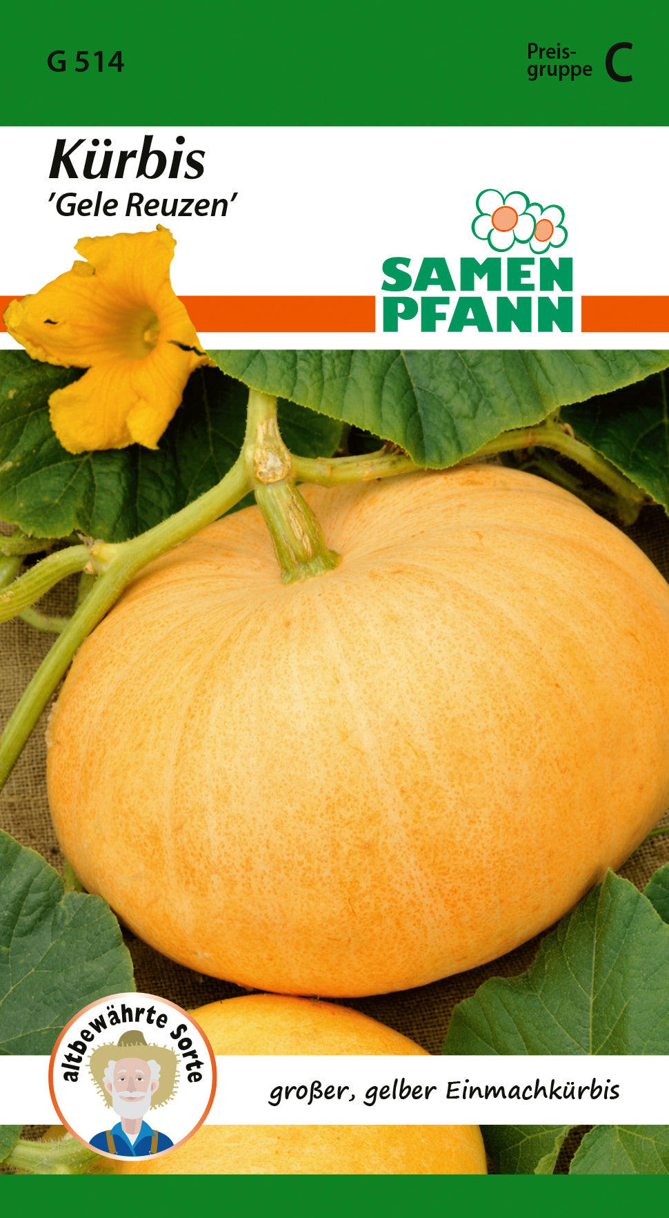 Samen Pfann Kürbis Gele Reuzen