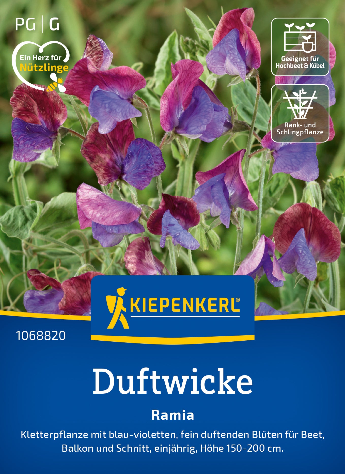 Kiepenkerl Wicken Ramia