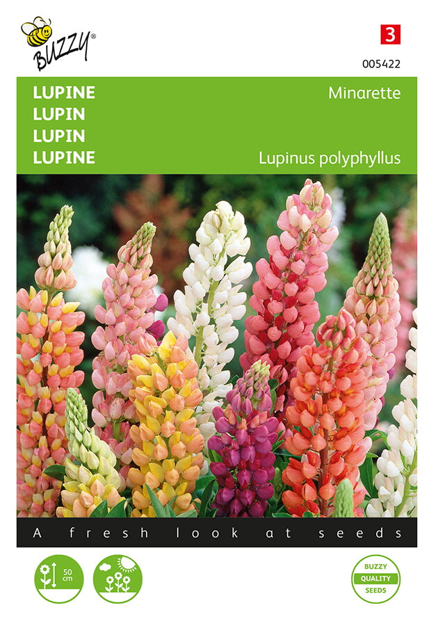 Buzzy Seeds Lupinen Minarette niedrige