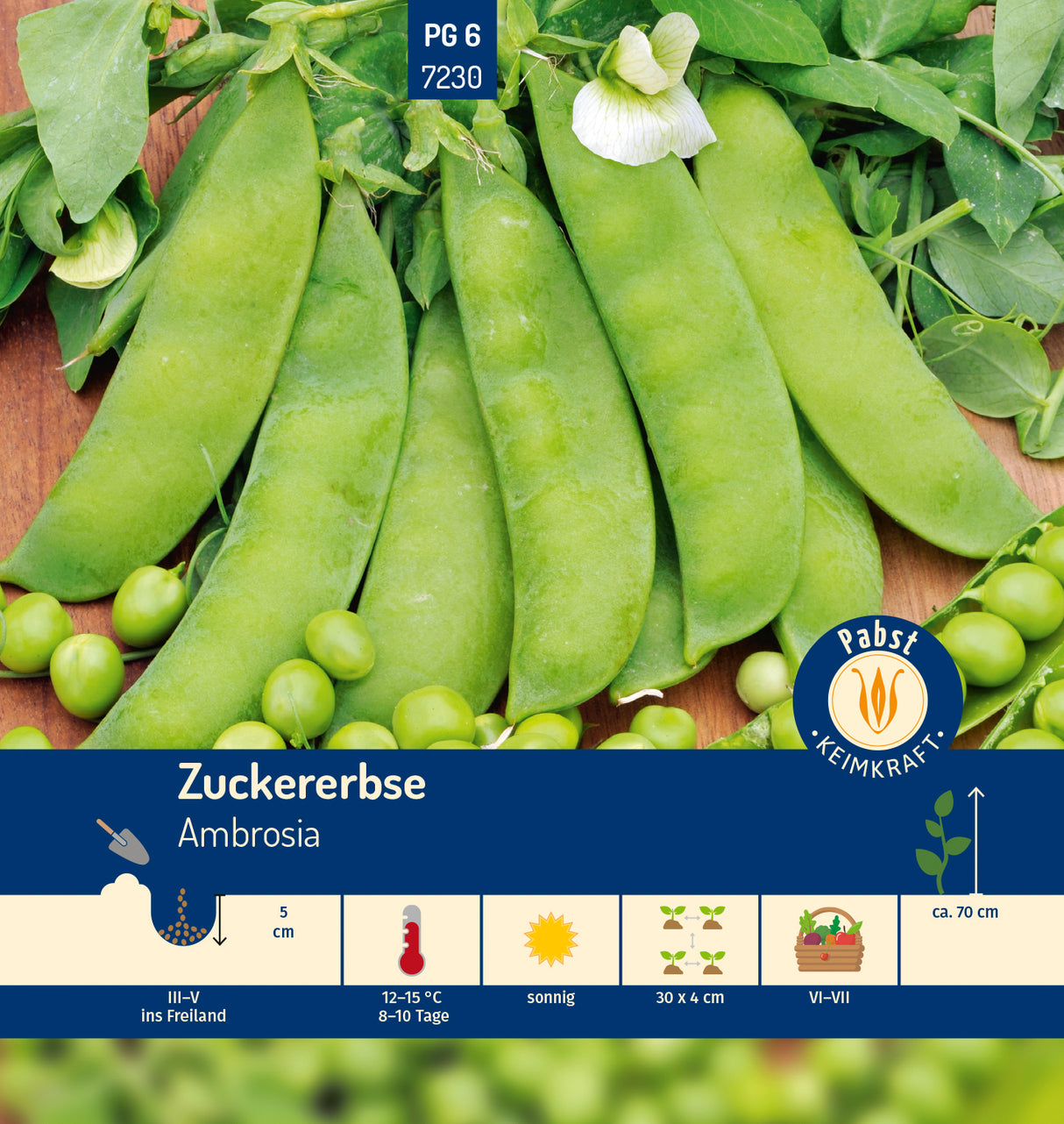 Pabst Keimkraft Zuckererbsen Ambrosia