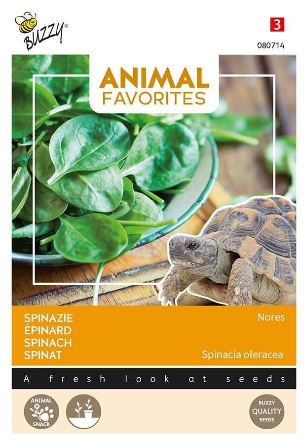 Buzzy Seeds Spinat Nores