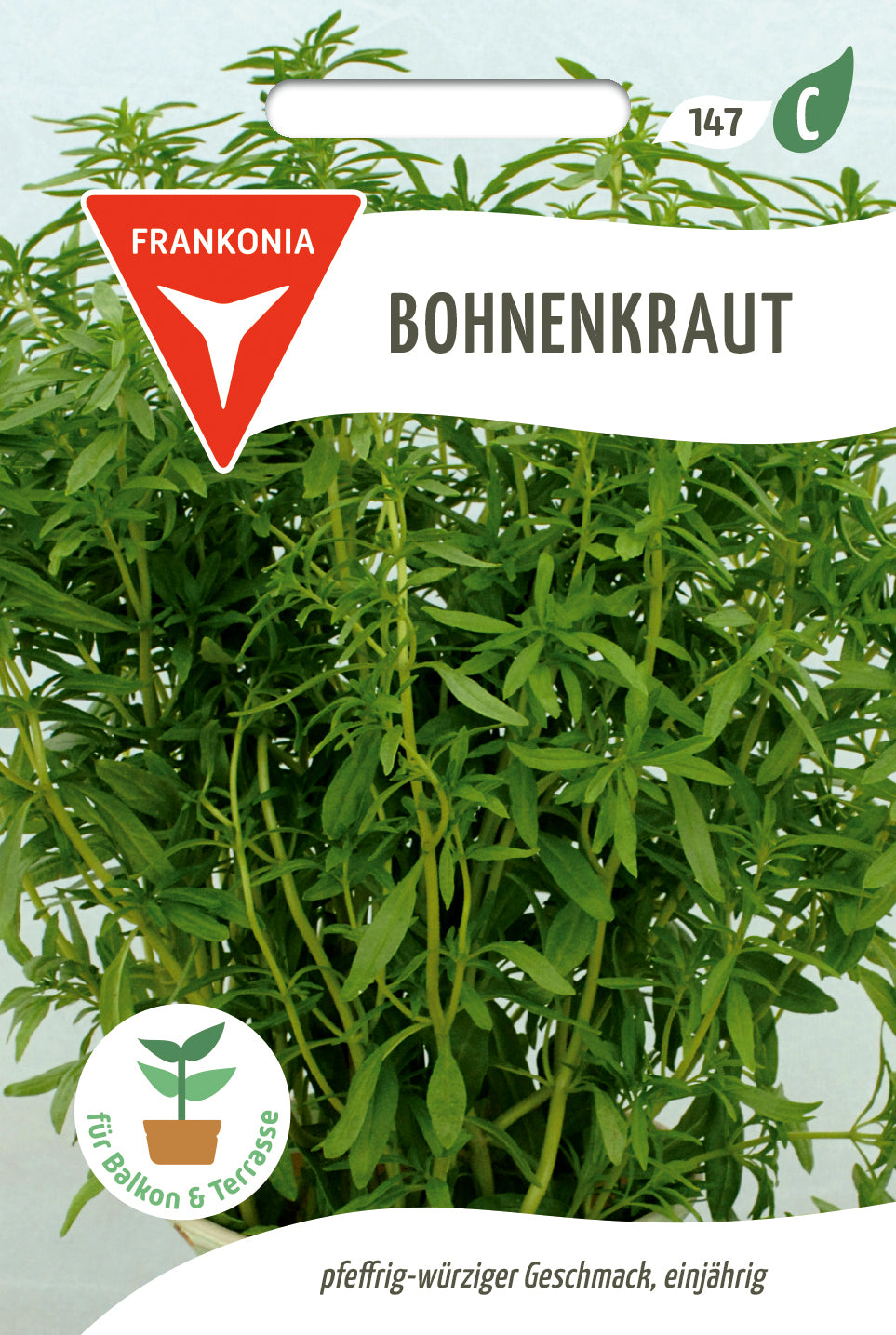 Frankonia Samen Bohnenkraut