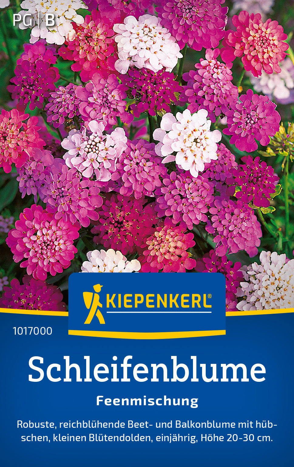 Kiepenkerl Schleifenblumen Feenmischung