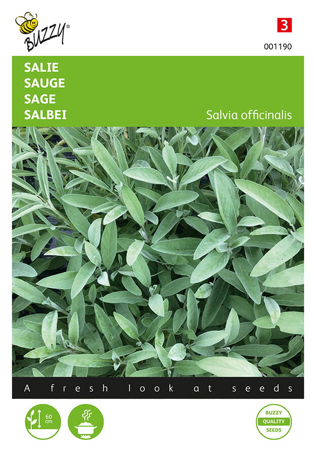 Buzzy Seeds Salbei
