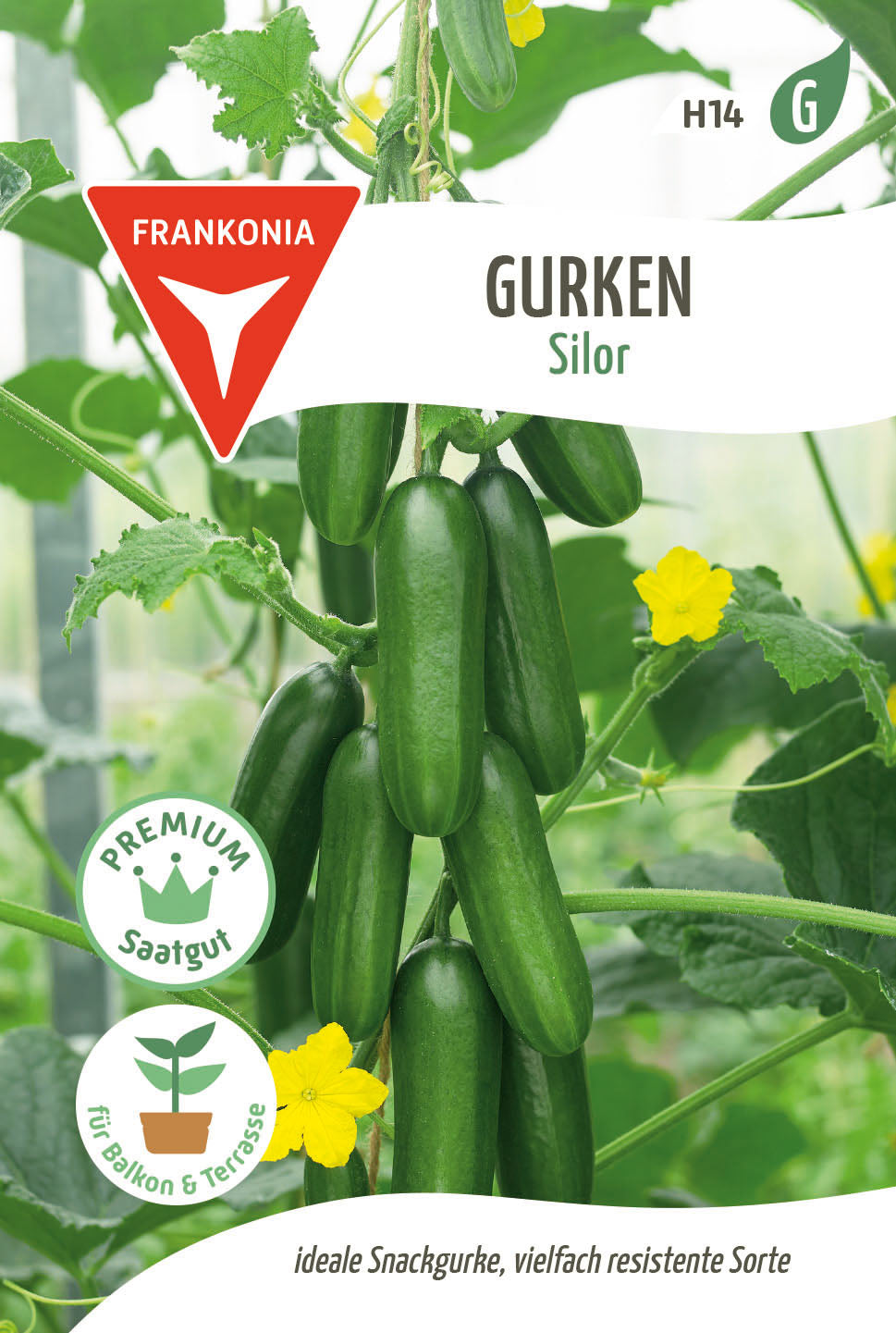 Frankonia Samen Gurke Silor