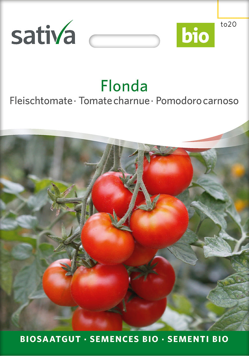 Sativa Fleischtomate Flonda