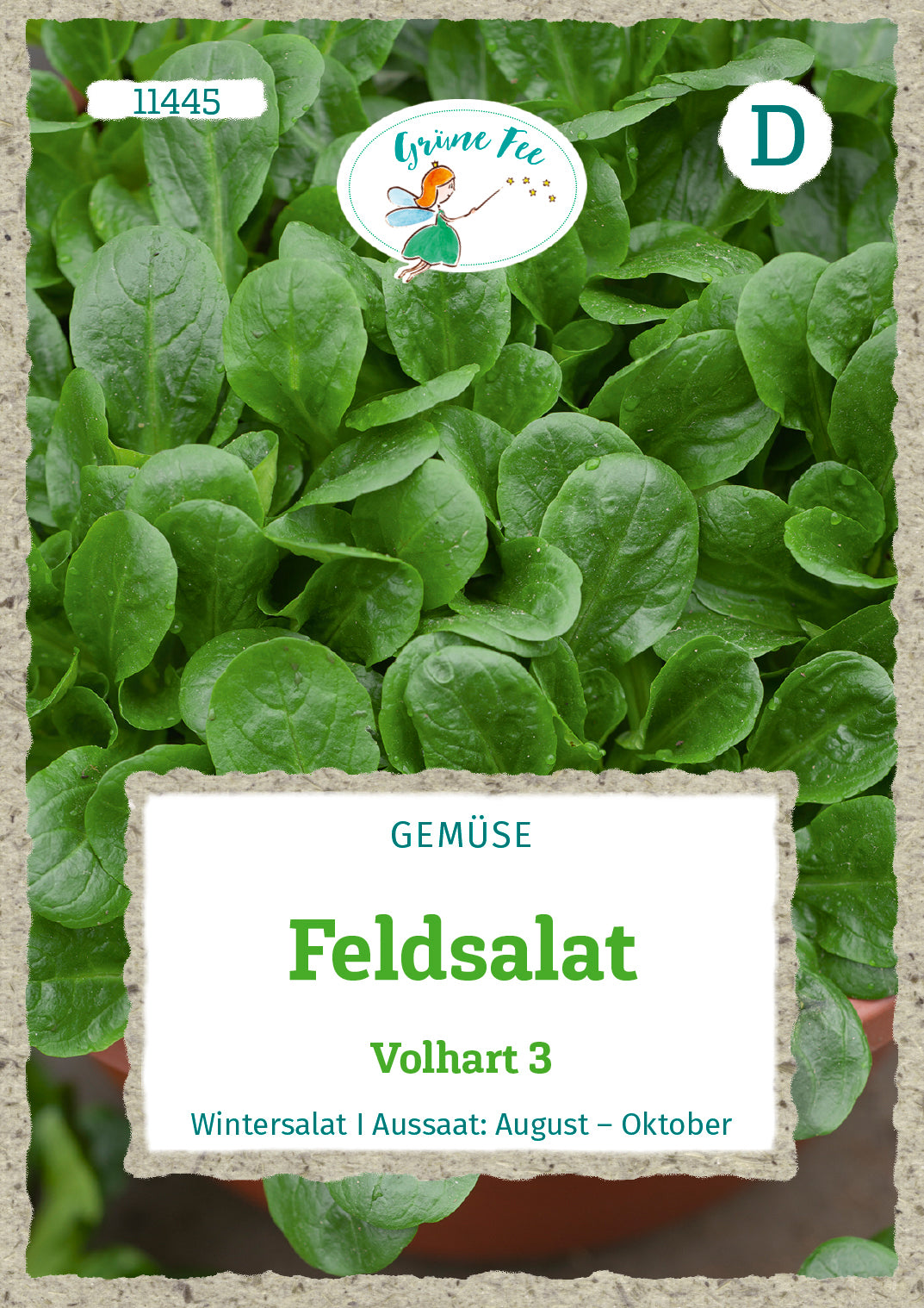 Grüne Fee Feldsalat Volhart 3
