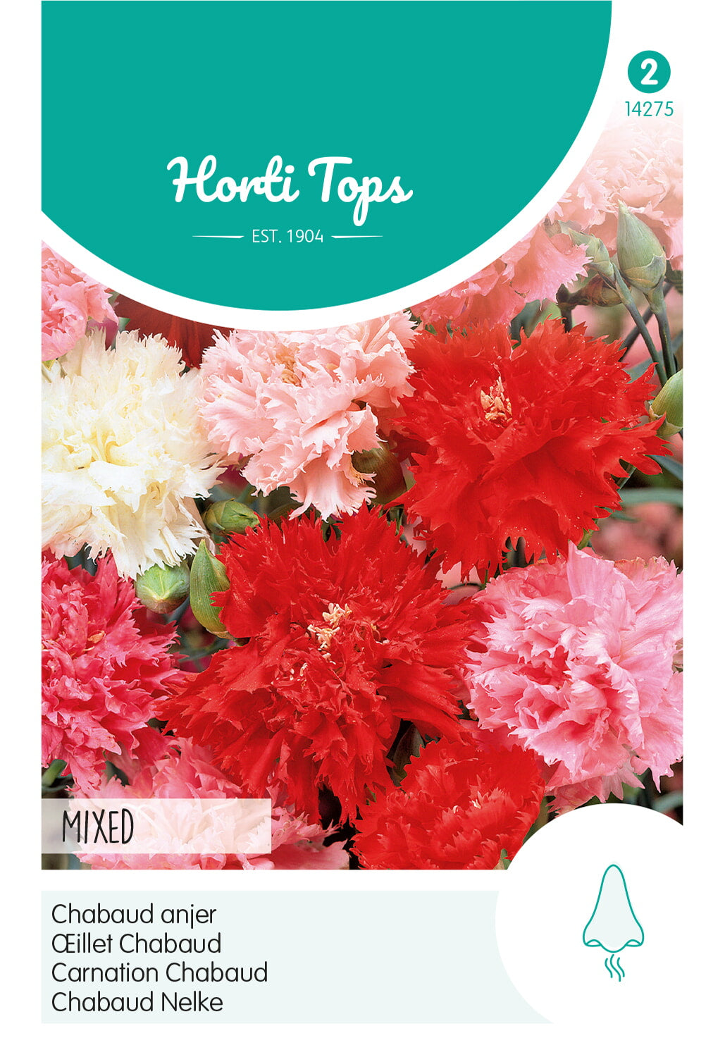 Horti Tops Chabaud-Nelke Riesen Chabaud Mischung