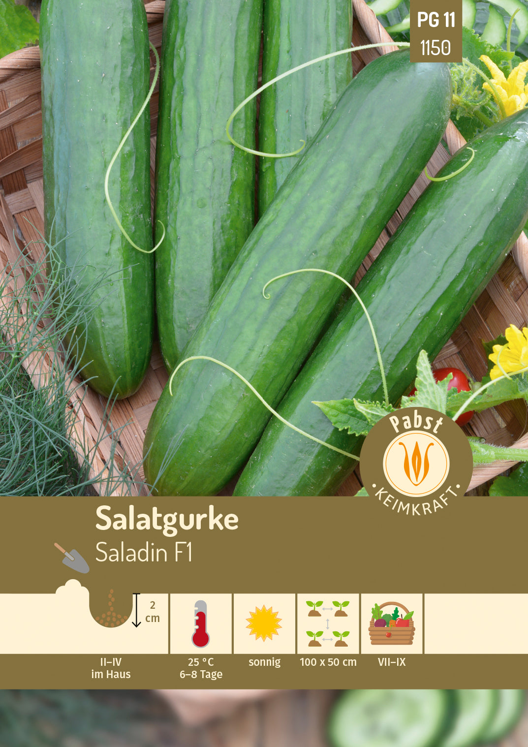 Pabst Keimkraft Salatgurken Saladin