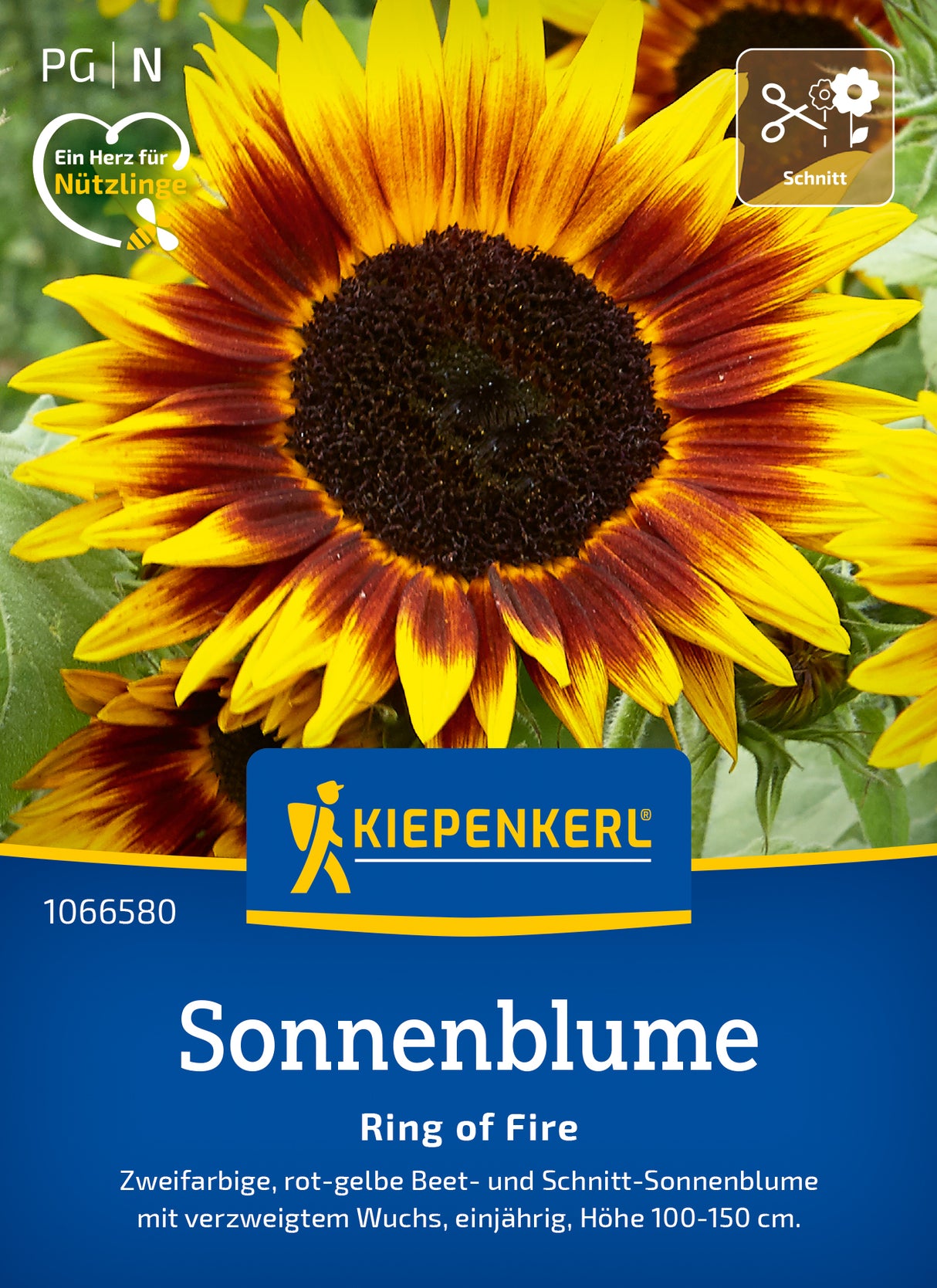 Kiepenkerl Sonnenblumen Ring of Fire