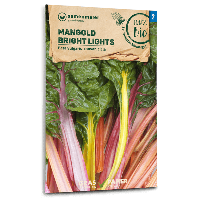 Samen Maier BIO Mangold Bright Lights