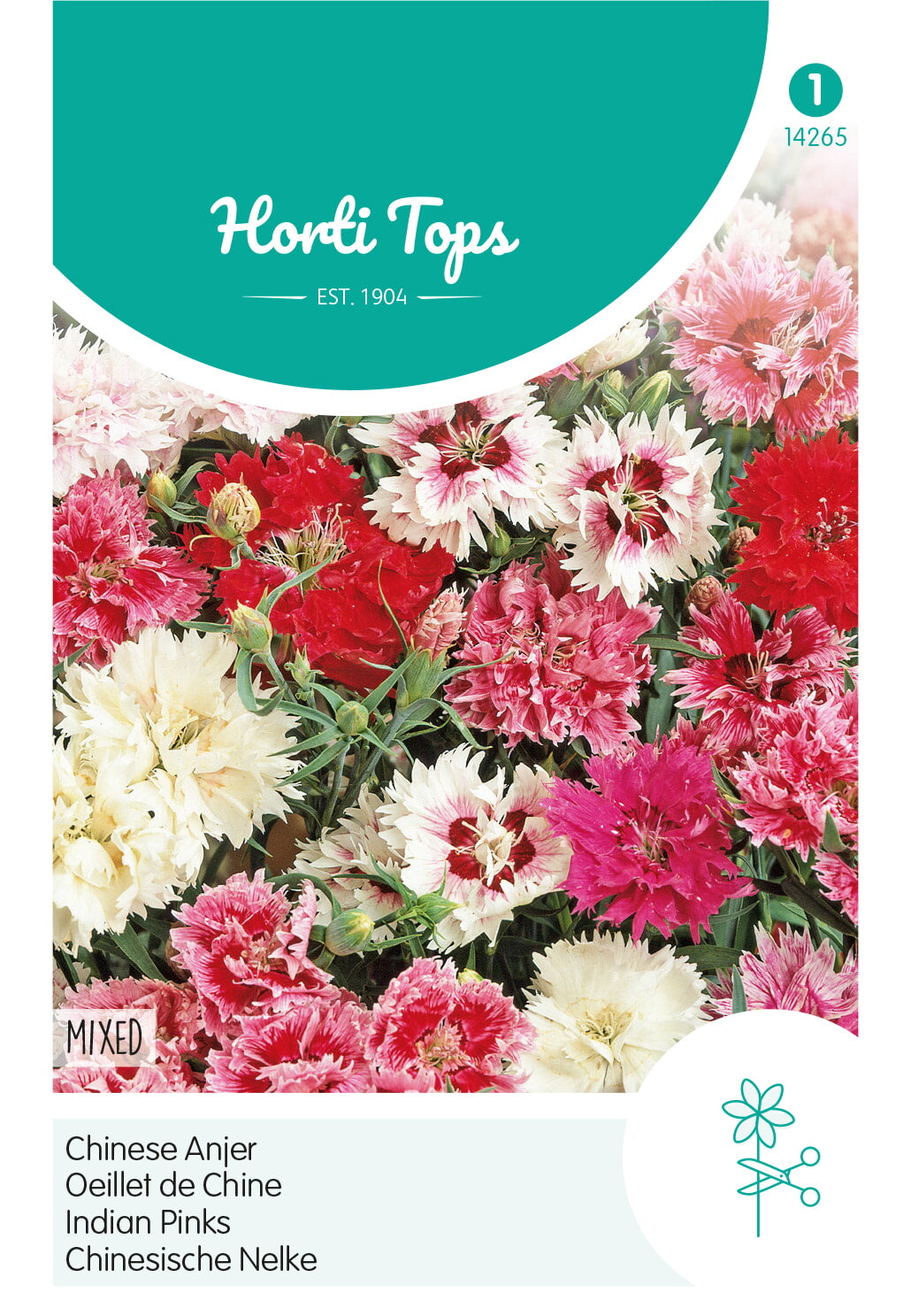 Horti Tops Chinesische Nelke Gefüllte Mischung