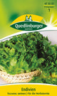 Quedlinburger Kopfendivie Escariol Grüner