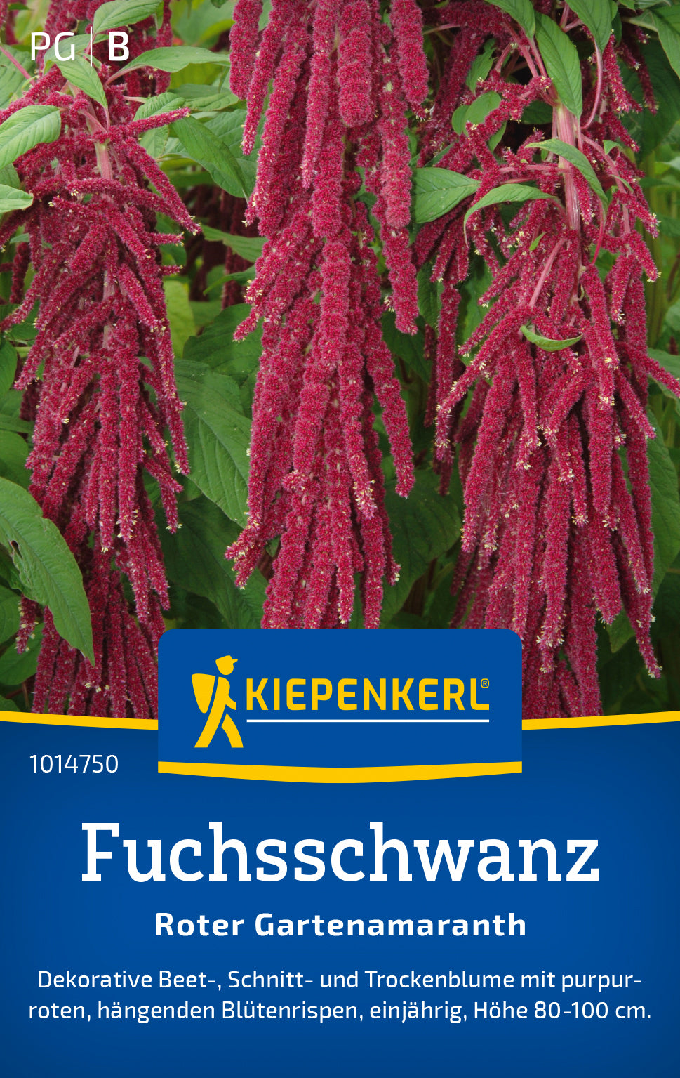 Kiepenkerl Fuchsschwanz Roter Gartenamaranth