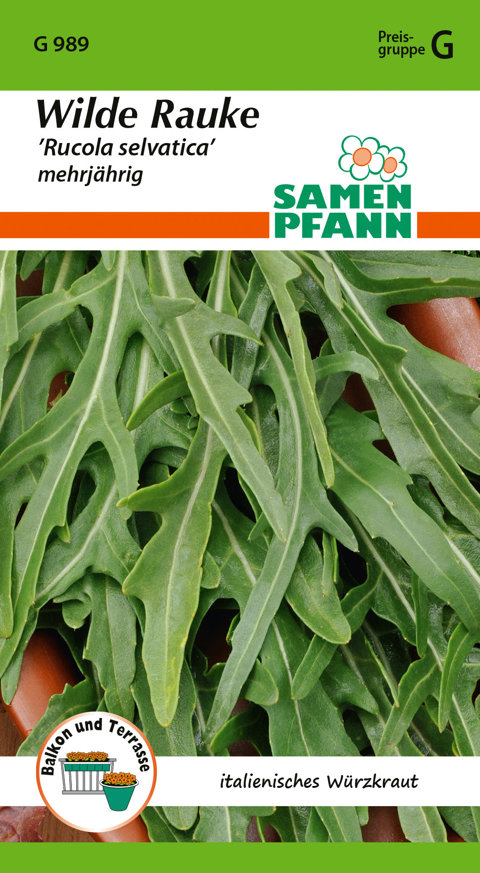 Samen Pfann Wilde Rauke Rucola selvatica mehrjährig