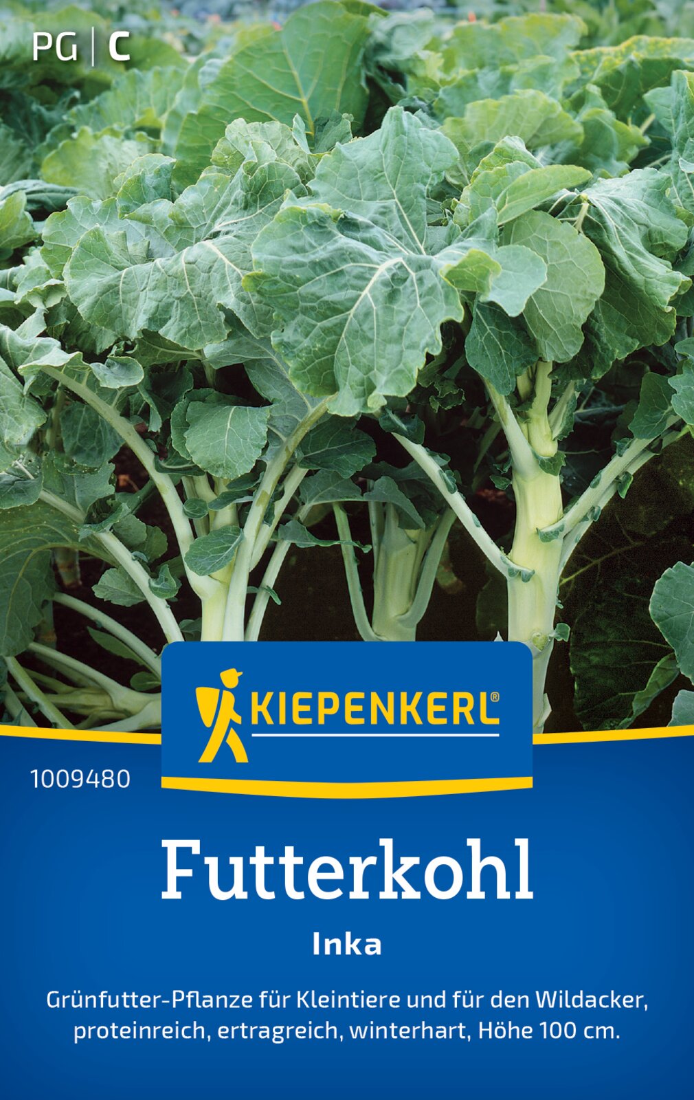 Kiepenkerl Futterkohl Inka