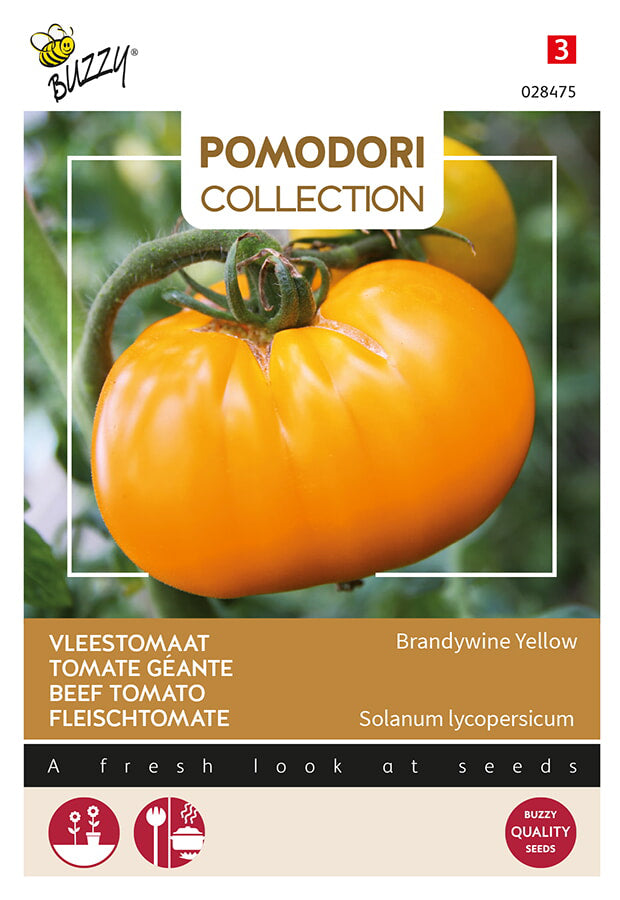 Buzzy Seeds Fleischtomate Brandywine Yellow