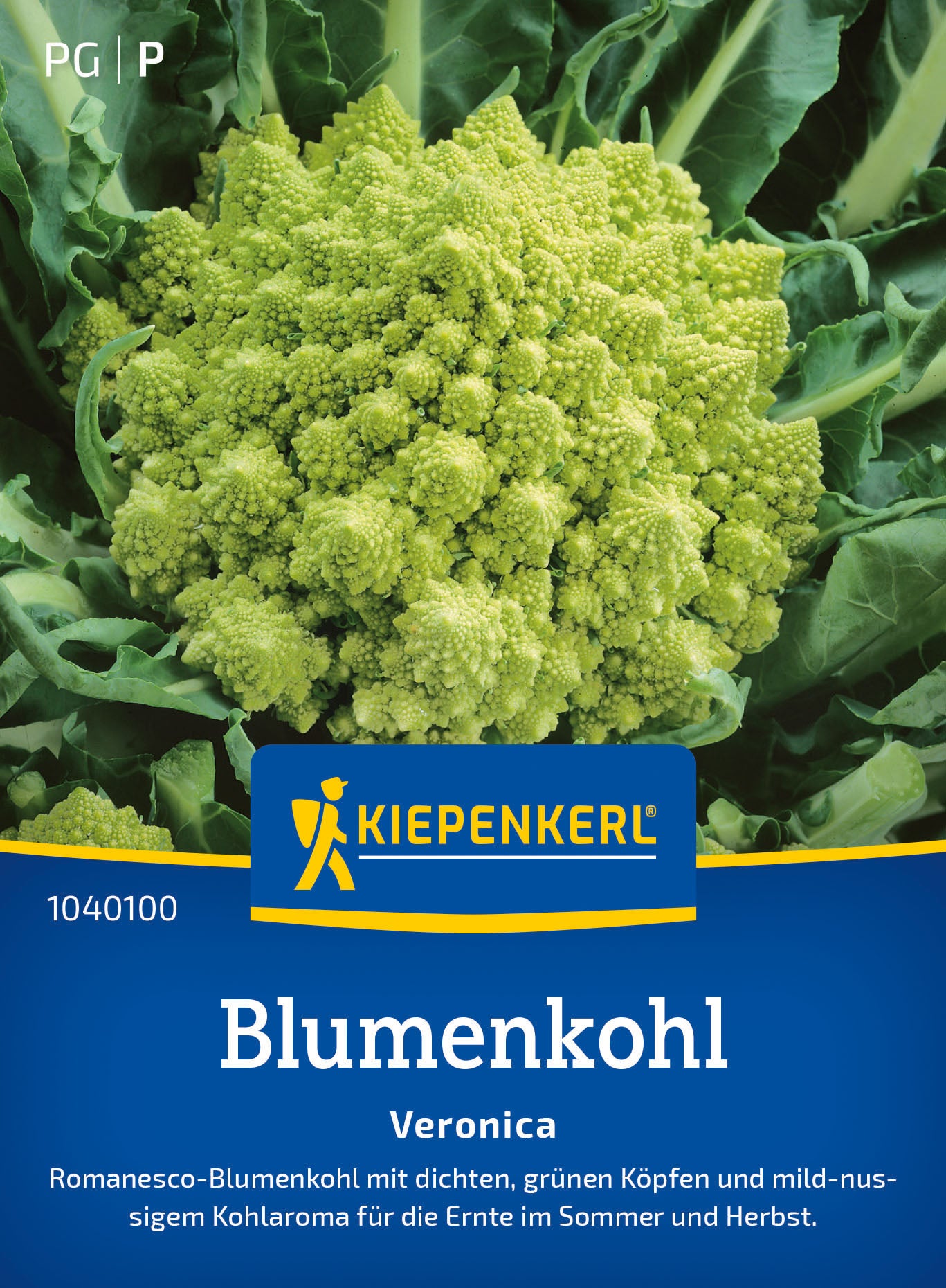 Kiepenkerl Blumenkohl Veronica