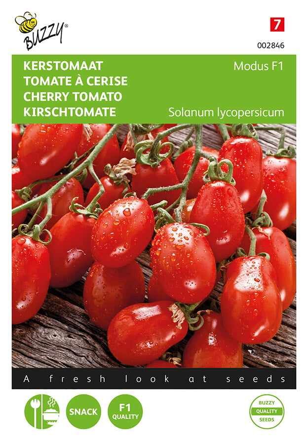 Buzzy Seeds Tomaten Modus F1